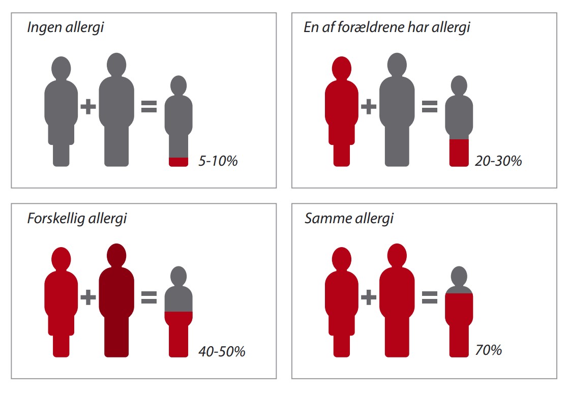 Uoverensstemmelse beundre Loaded Hvad er allergi? - Astma-Allergi Danmark